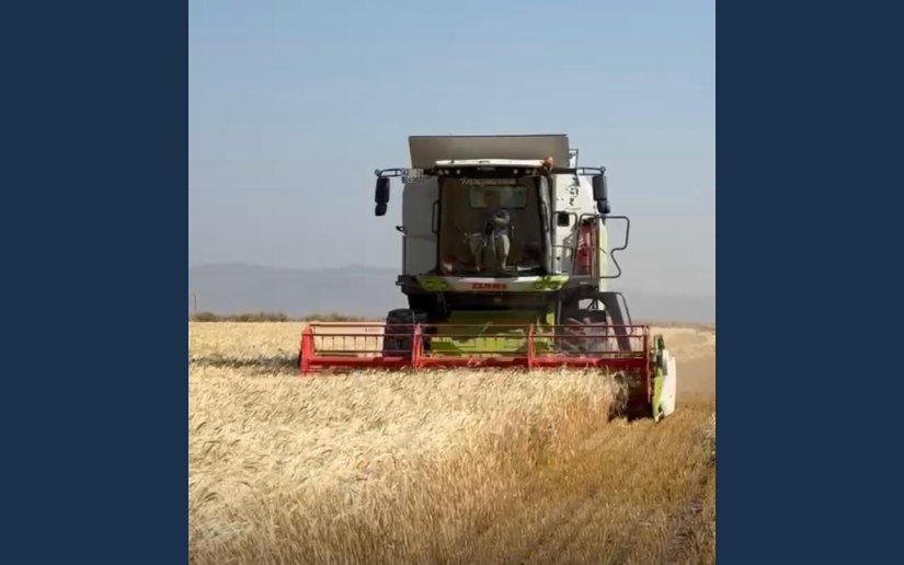 2026 YILI HASAT SEZONU TÜM ÇİFTÇİLERİMİZE HAYIRLI OLSUN