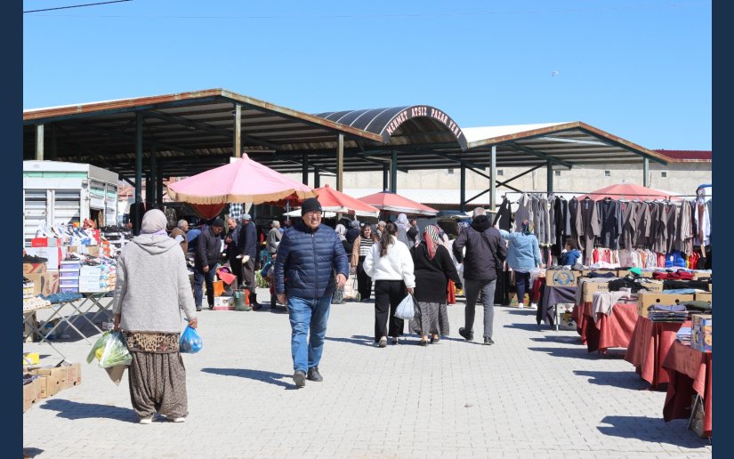 PAZARDAN BU HAFTAKİ KARELER.