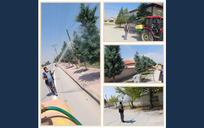 PARK VE SOKAKLARDA AĞAÇ İLAÇLAMA ÇALIŞMALARI BAŞLAMIŞTIR